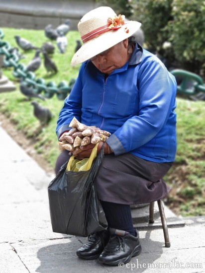 Napping bird seed seller, Arequipa, Peru photo