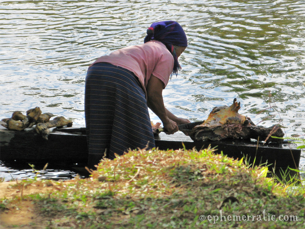Cleaning the cow head in the river, Vang Vieng, Laos