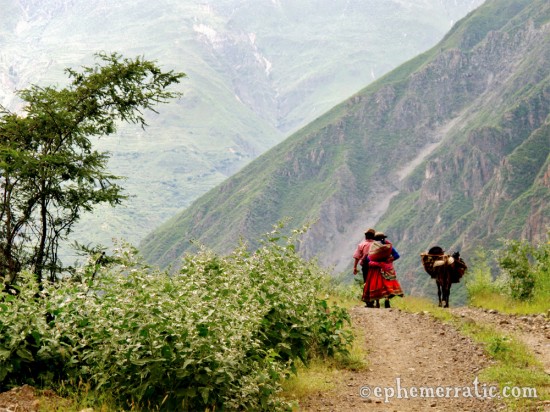 A couple walks home deep in Colca Canyon, Peru photo
