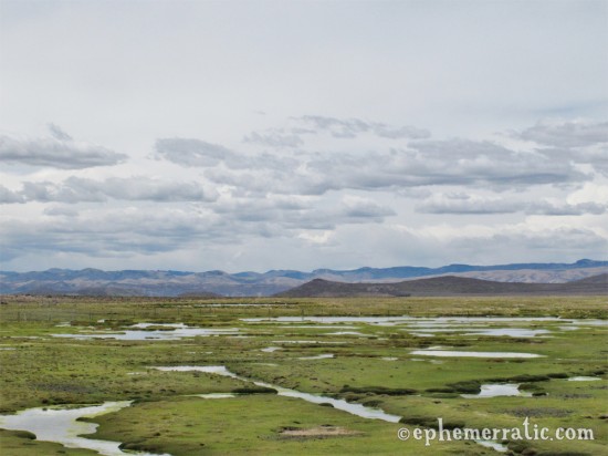 Highland marshes, road to Colca Canyon, Peru photo