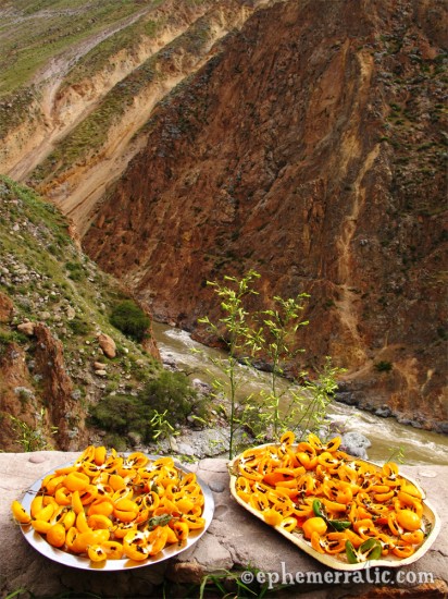 Trays of aji amarillo drying, Colca Canyon, Peru photo