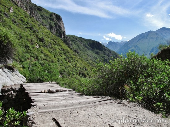 Wooden bridge over the Rio Cabanaconde, Colca Canyon, Peru photo