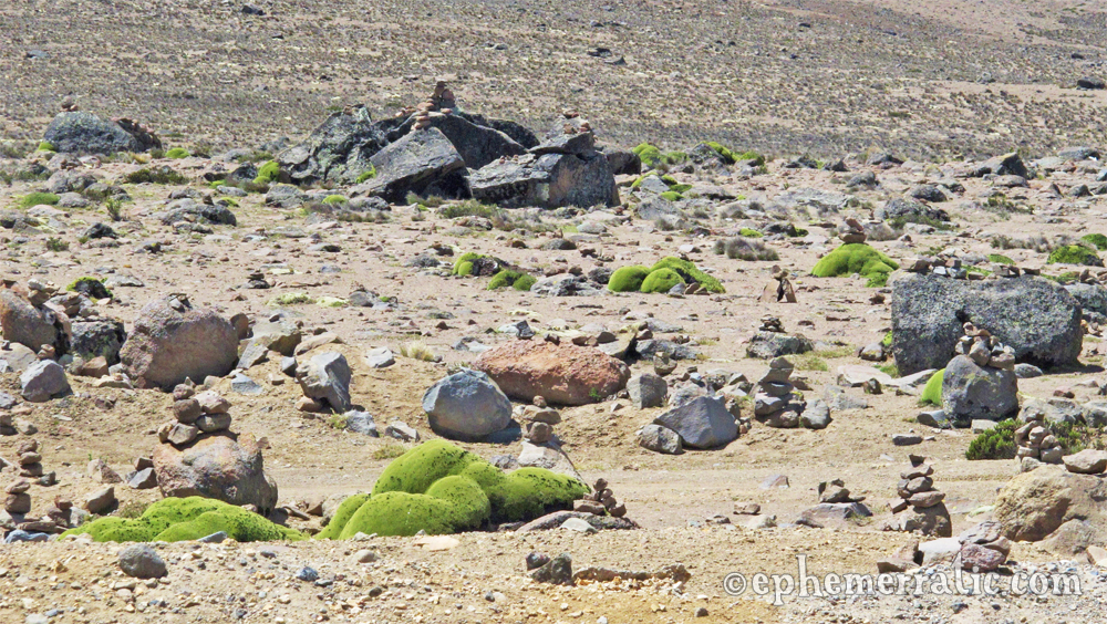 Towered stones and yareta plant, road to Colca Canyon, Peru photo