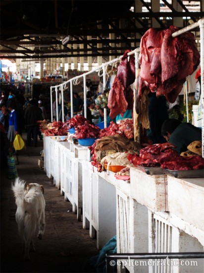 A dog stalks the meat aisle in Cusco's Central Market, Peru photo