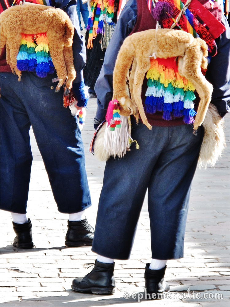 Stuffed llama dolls hang from Cápac Colla dancers, Peru photo