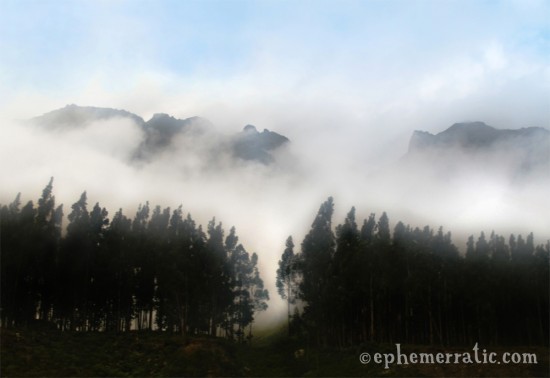View from the Inca Rail train to Machu Picchu photo