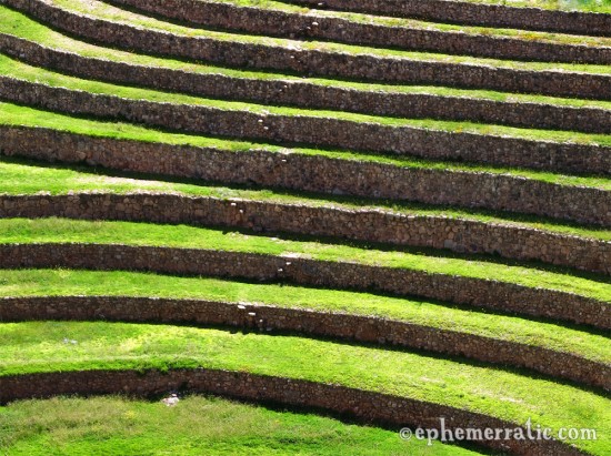 Gently curving terraces, Moray, Peru photo