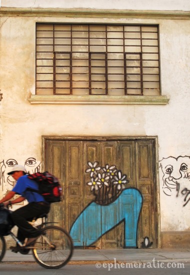 Shoe-as-vase graffiti, Barranco, Lima, Peru by Lauren Girardin