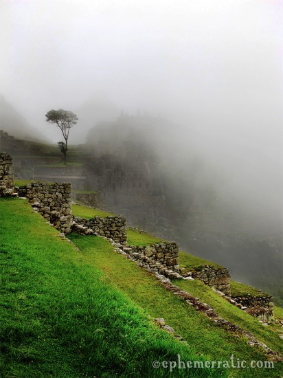 Foggy terraces, Machu Picchu, Peru photo