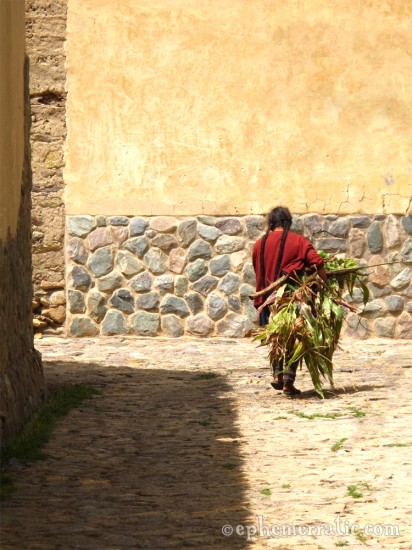 A woman carries branches in Ollantaytambo, Peru photo